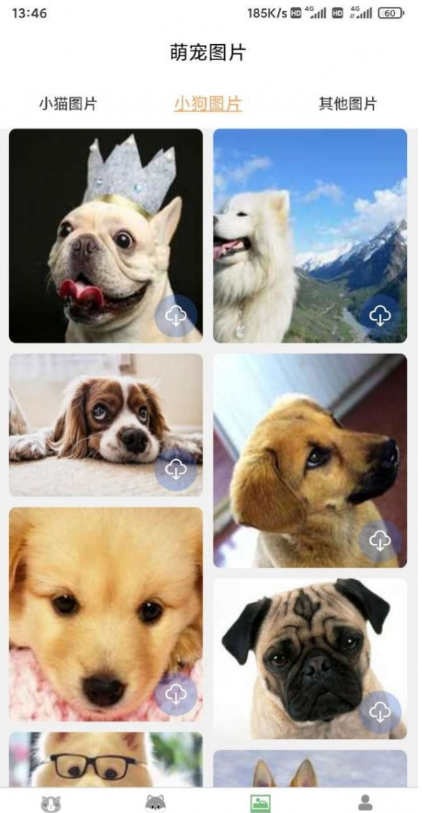 云宇猫狗翻译手机软件app