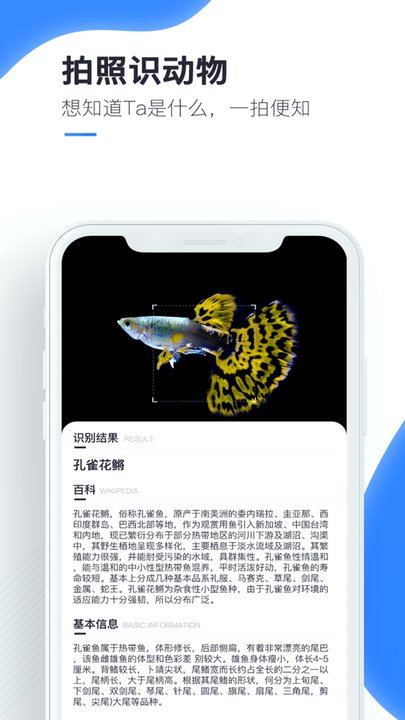 百科扫描王手机软件app