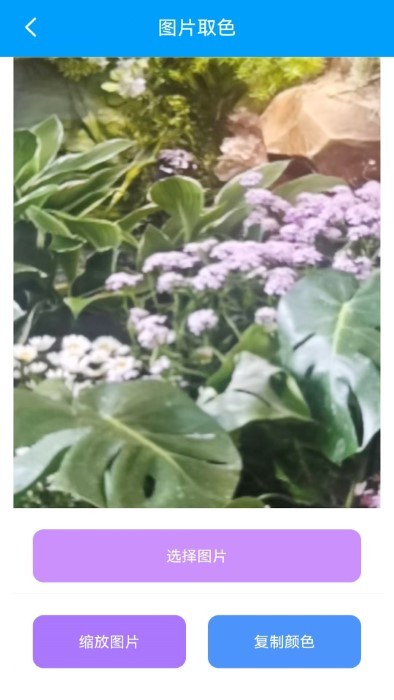 栋剧工具箱手机软件app