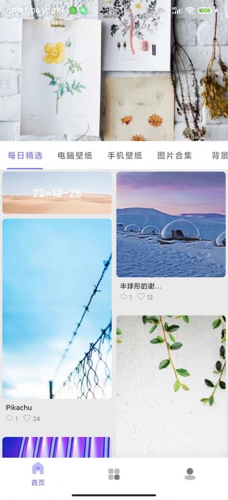 派上壁纸手机软件app