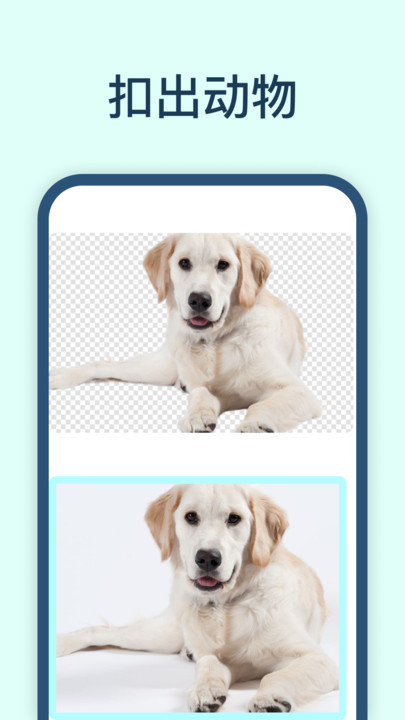 迅捷抠图手机软件app