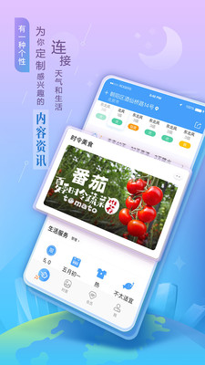 墨迹天气精准版手机软件app