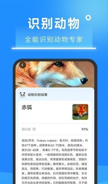 超速扫描大师手机软件app