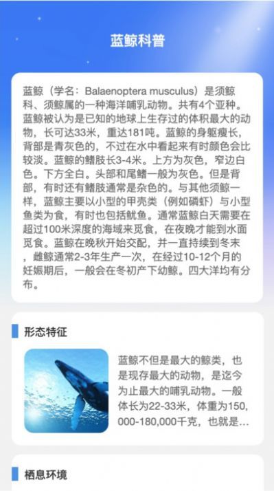 蓝鲸WiFi手机软件app
