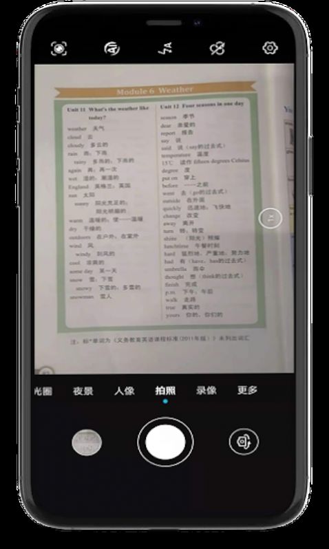 小猪单词王手机软件app