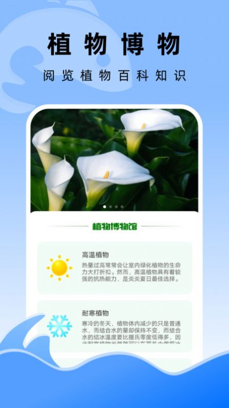 飞鱼文件管家手机软件app