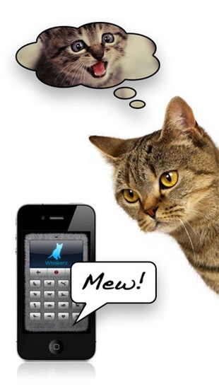 猫语翻译器手机软件app
