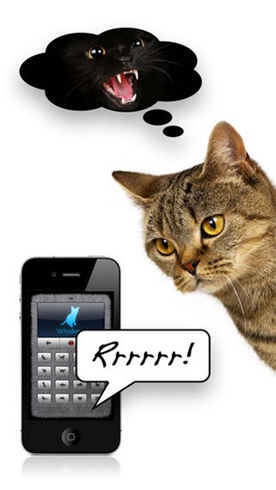 猫语翻译器手机软件app