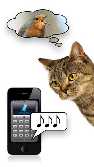 猫语翻译器手机软件app