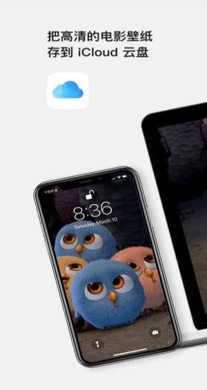 Movy高清壁纸手机软件app