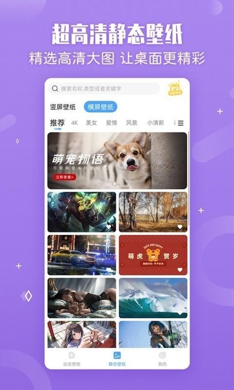 小鸟壁纸大全软件截图