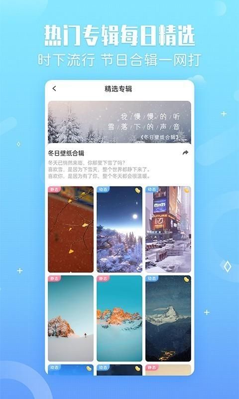 小鸟壁纸大全手机软件app