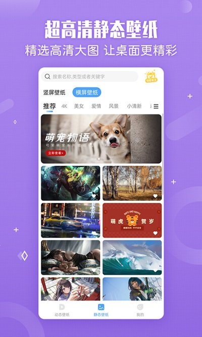 小鸟壁纸手机软件app