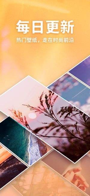 口袋壁纸手机软件app