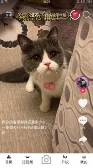 暖暖视频免费版手机软件app