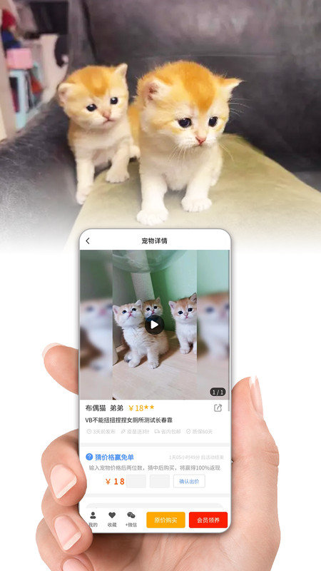 集咪舍手机软件app