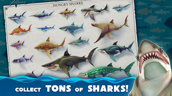 饥饿鲨世界国际版手游app