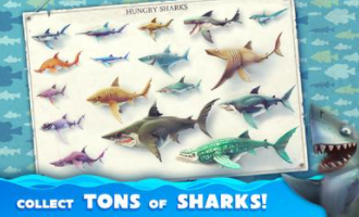 饥饿鲨世界国际服正版游戏截图