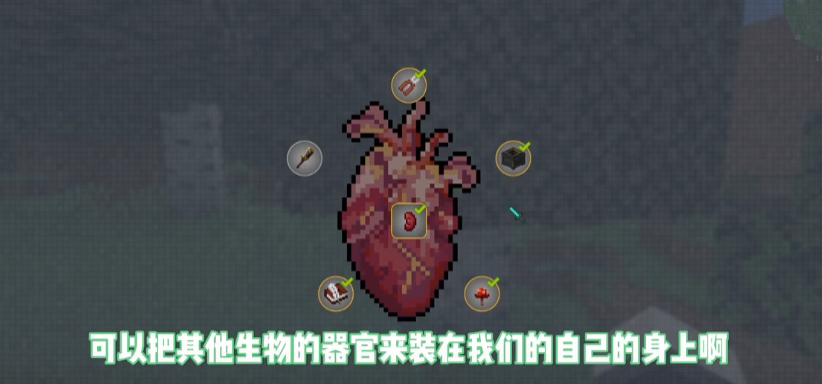 mc脆骨症wiki手游app