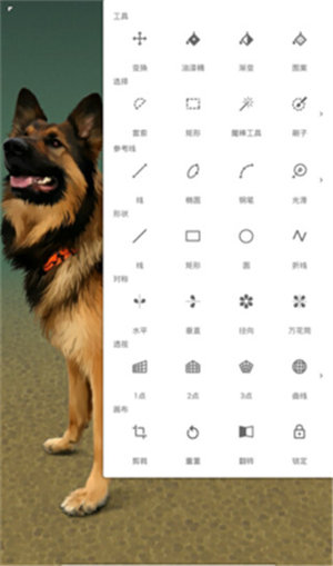 Painter手机软件app